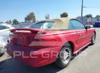 1998 Ford MUSTANG photo