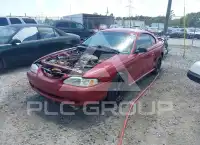 1998 Ford MUSTANG фото