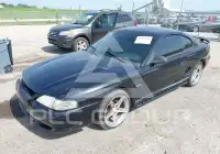 1998 Ford MUSTANG photo