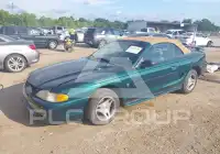 1998 Ford MUSTANG photo