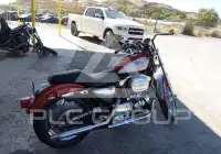 1999 Harley-Davidson XL1200 фото