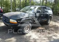 1999 Dodge DURANGO photo