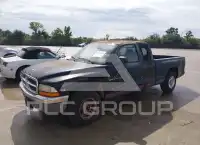 1999 Dodge DAKOTA photo