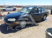2000 Nissan MAXIMA фото