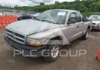 2000 Dodge DAKOTA photo