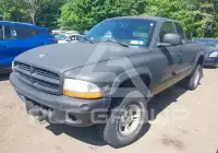 2000 Dodge DAKOTA photo