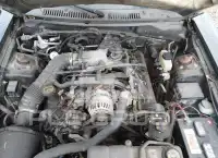 2000 Ford MUSTANG фото