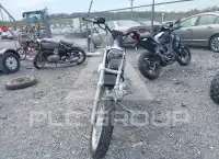 2001 Harley-Davidson XL883 фото