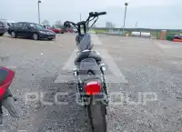 2001 Harley-Davidson XL883 фото