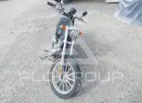 2001 Harley-Davidson FXD photo