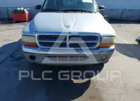 2001 Dodge DAKOTA photo