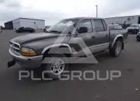 2001 Dodge DAKOTA photo