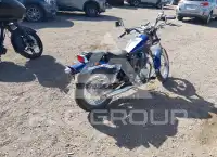 2001 Honda CMX250 фото
