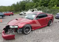 2001 Ford MUSTANG фото