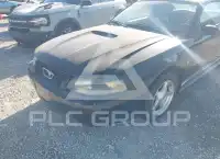 2001 Ford MUSTANG фото