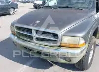 2002 Dodge DAKOTA фото