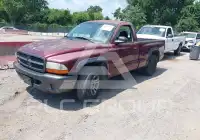 2002 Dodge DAKOTA photo