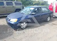 2002 Honda CIVIC фото