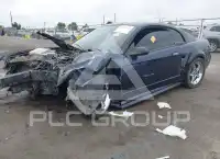 2002 Ford MUSTANG фото