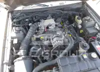 2002 Ford MUSTANG фото