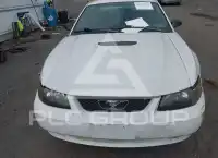 2002 Ford MUSTANG photo