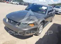 2002 Ford MUSTANG фото