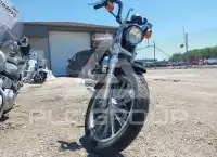 2003 Harley-Davidson XL883 photo