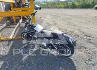 2003 Harley-Davidson FXD photo