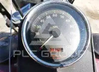 2003 Harley-Davidson FLSTFI photo