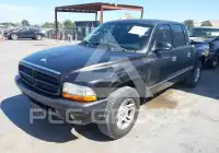 2003 Dodge DAKOTA фото
