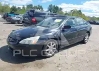 2003 Honda Accord фото