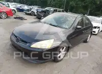 2003 Honda Accord фото