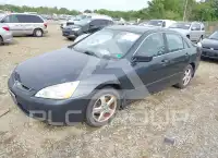 2003 Honda Accord фото