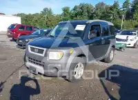 2003 Honda ELEMENT photo