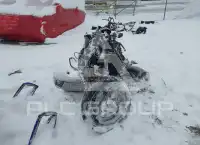 2003 Honda CBR600 photo