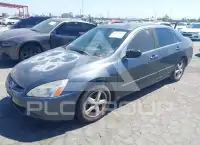 2003 Honda Accord photo