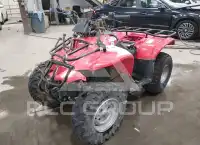 2003 Honda TRX250 photo
