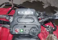 2003 Honda TRX250 photo