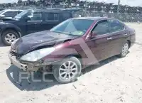 2003 Lexus ES300 фото