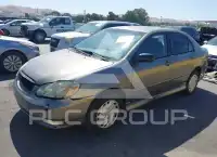 2003 Toyota COROLLA фото