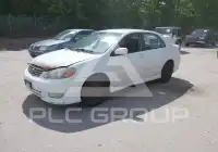2003 Toyota COROLLA фото
