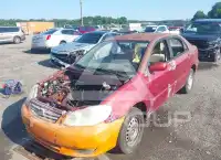2003 Toyota COROLLA photo