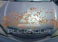 2003 Toyota CAMRY фото