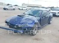 2003 Ford MUSTANG фото