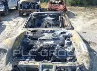 2003 Ford MUSTANG фото