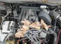 2003 Ford TAURUS фото
