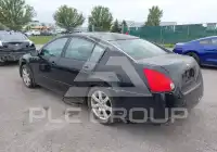 2004 Nissan MAXIMA photo