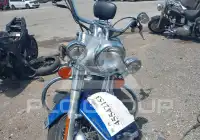 2004 Harley-Davidson FLSTCI фото