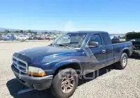 2004 Dodge DAKOTA фото
