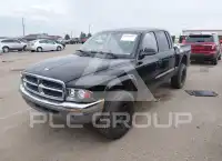 2004 Dodge DAKOTA photo
